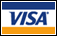 VISA Icon
